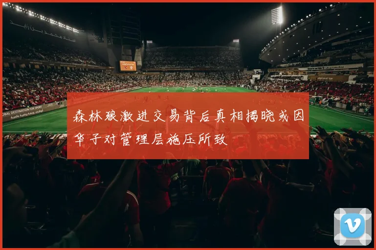 森林狼激进交易背后真相揭晓或因华子对管理层施压所致